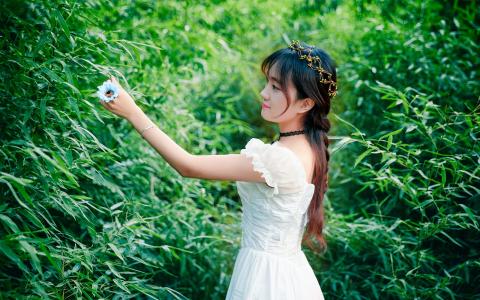 ɭϵ�����ֵ����֣��������ʵ�Ů��ɭϵ��������