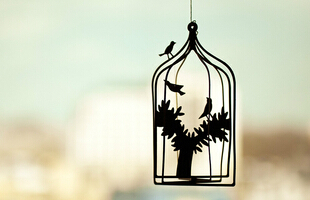 �������⾳���������Ҵ�����ؼʱ�⾲��