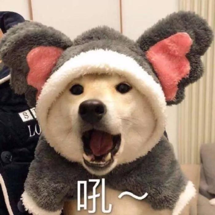 ��������ĳ��������е��׺�-�ɰ���