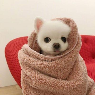 ���������ĳ���С�����ִ�ȫ����Ȥ-�ɰ���