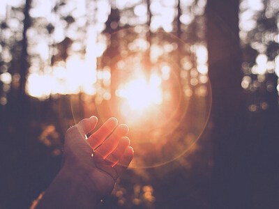 �ں�������������ȫ����ȸ�Ϸ�