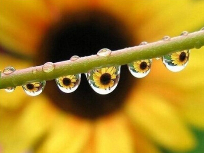 好听的微信情侣网名:南城雨落 ‖ 北岸初晴