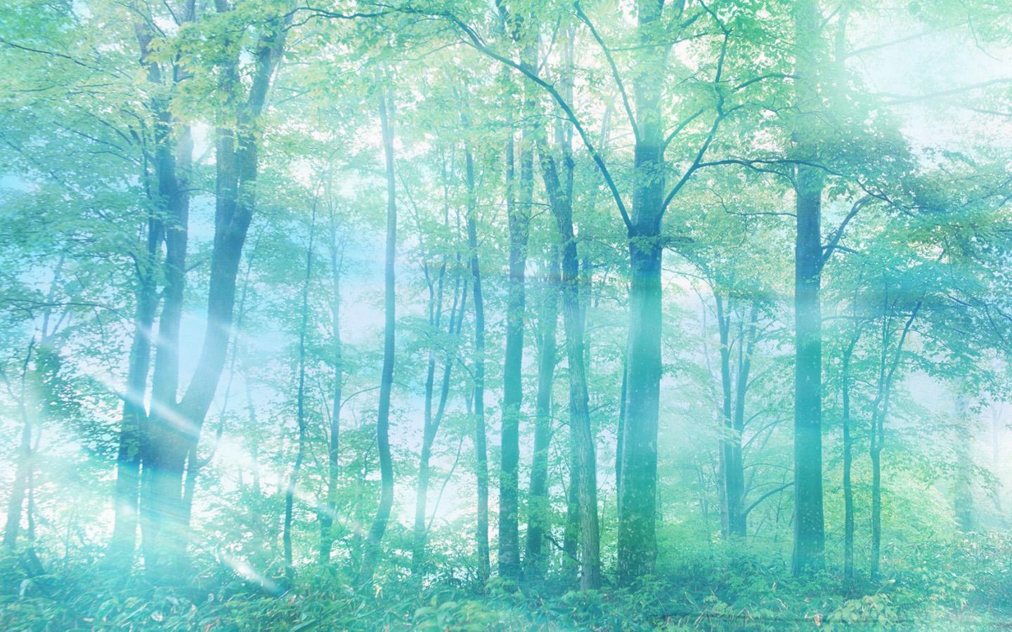 �ʺ������õ�����ֺ�����΢������