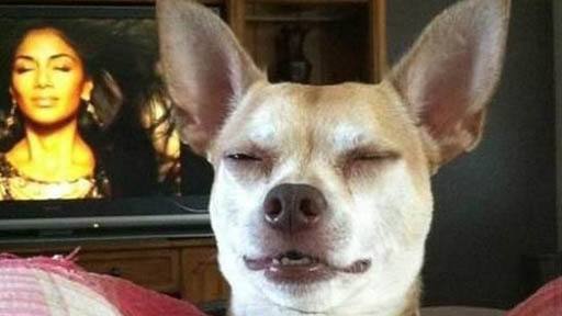 ��Цг��������ȫ���ܸ�Ц�ܶ��ȵĸ�������