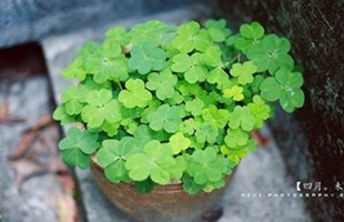 ���ио���������ȫ�����Ҹ���Ϸؼ�����˵���