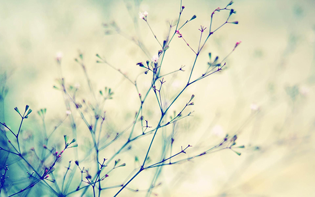 ���ź�����Ů��������С��С��С���