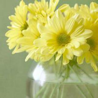 2021���µ��ĸ�������������-�ɰ���