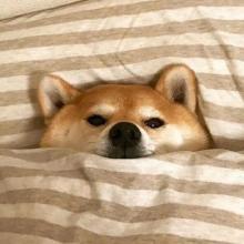 ���������������¼�-�ɰ���