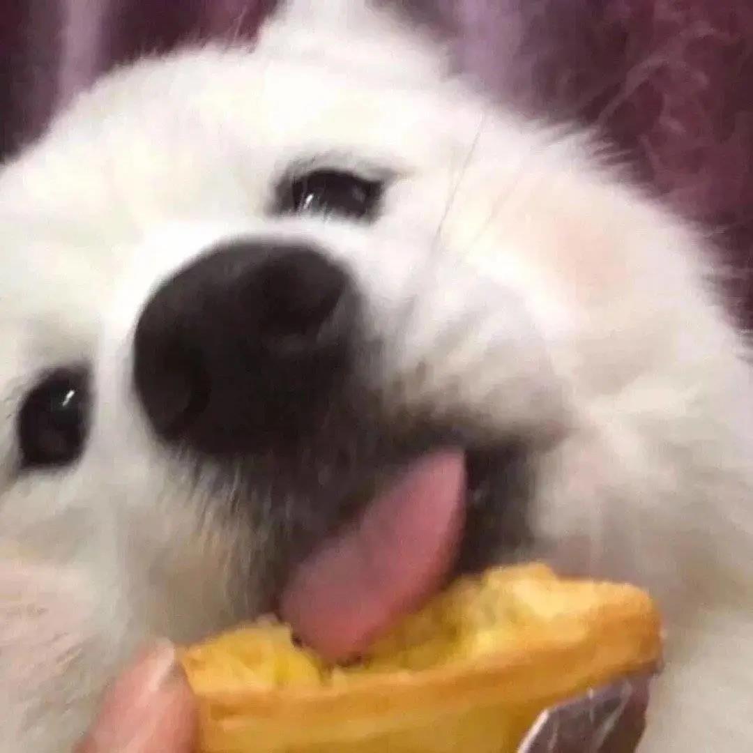 �����ֳ������ִ�ȫ��ק�����д���-�ɰ���