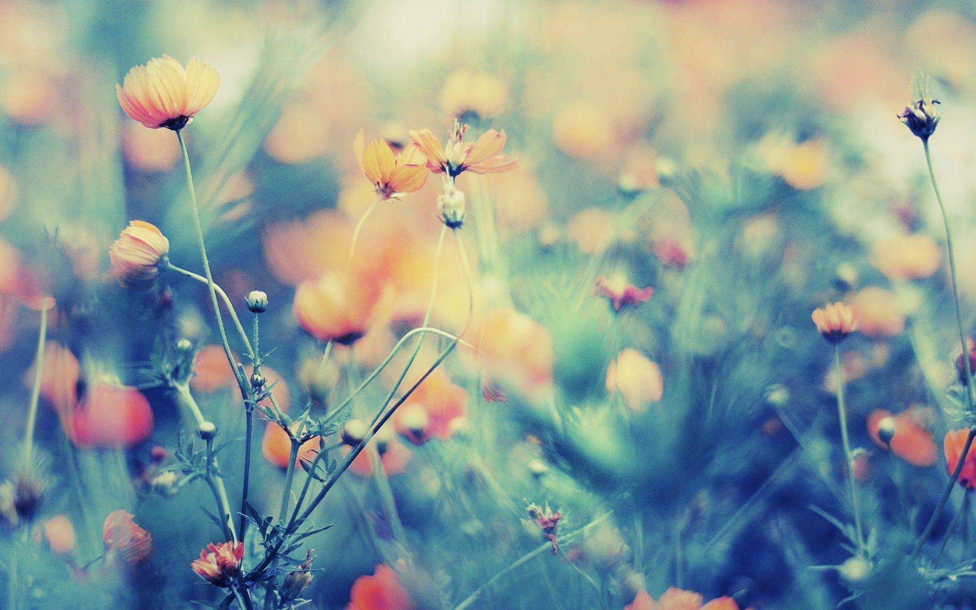 Ψ��С����Ů����������������һ�°�