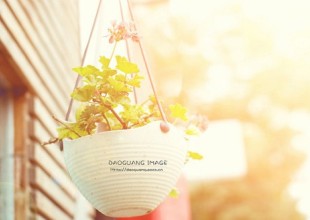 ������־������ȫ���Եÿ��пࡢ���ܿ�·��