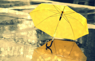 Ů���˸�����������