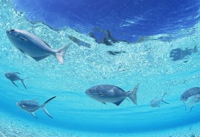 ��ק�ķ��������������n������Ї����ؼ