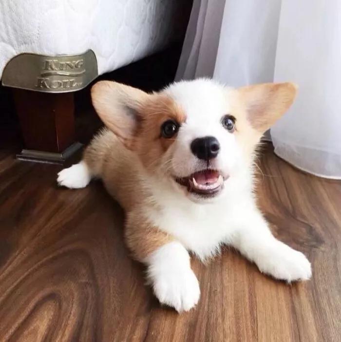 ���⾳���ں��ĳ����������������Ϣ-�ɰ���