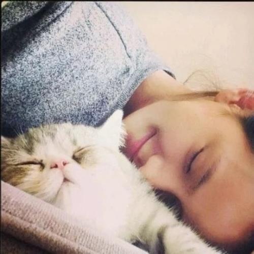 ʱ�������ĳ���Ӣ�����ֹ��ʴ���-�ɰ���