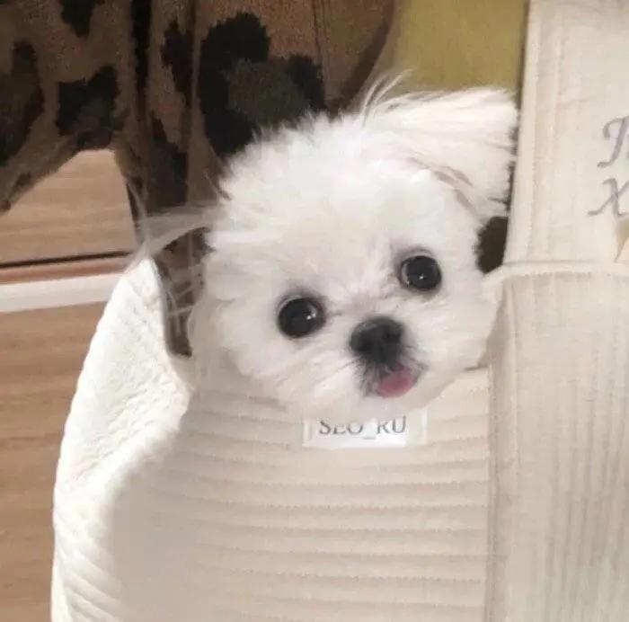 ����������ȵĿɰ����������-�ɰ���