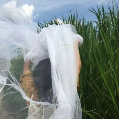 微信女生网名伤感经典的网名