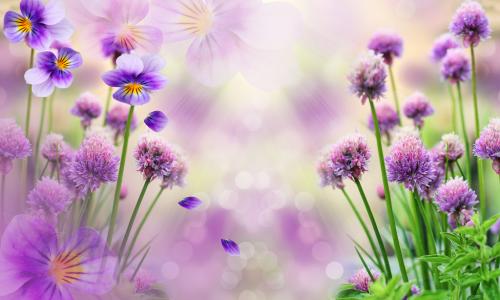 �ں�����ȵ�����΢����������̴�����΢������