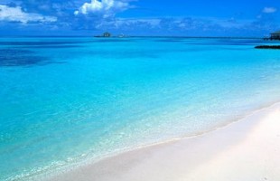 ��õ�������ȫ������������Ƭ���n