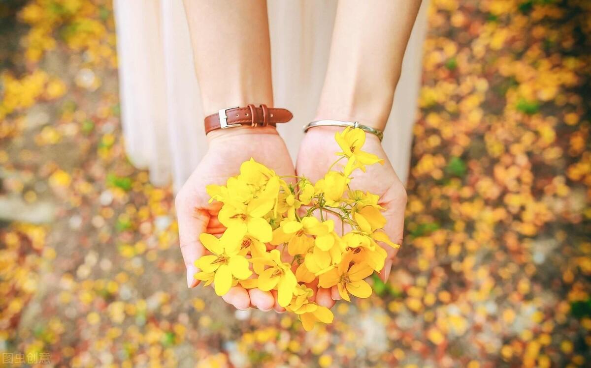 ����ɭϵ����С����-�ɰ���