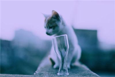 �Ƚ����Ե�΢�����֣��ñ��˷ֱ治����Ů��΢������