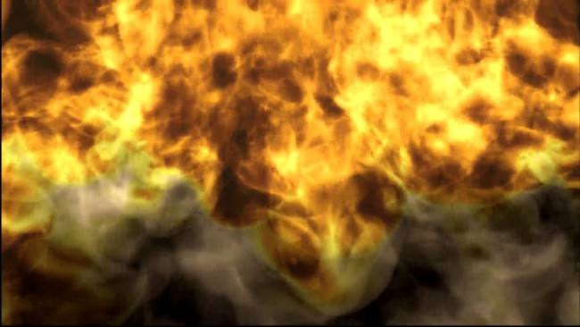 ������������������������������