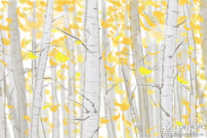 ��ʹ��������е���������������