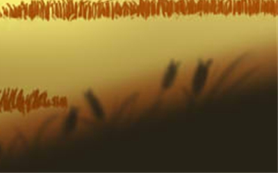 女人美人痣在哪部位最美最好呢?