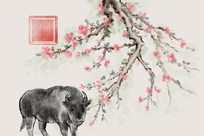 ��������������Ҹ��� ��Ǣ��ͨ����ٽ�