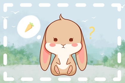 �����������Ļ�����ô�� ����������ô��