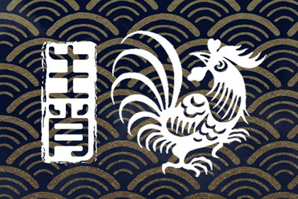 ����2022�������� ������2022�����������