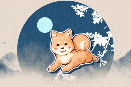 1994����1999�úϲ��� �ദ���� ����˳��