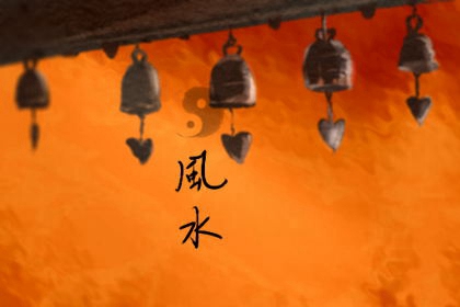 ���ſ��ʺϷ�ʲôֲ������ Ԣ�⼪��˳��