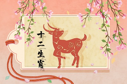 ����������Ļ������ ����Ů����ѻ�������