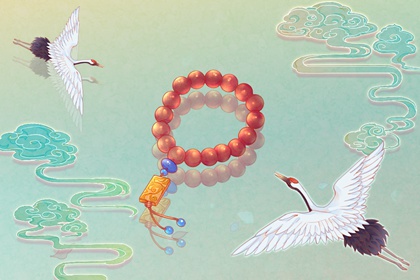 ��������������� 2022����ʲô��Ф�ı�����