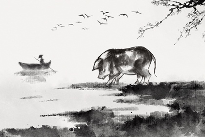 ����������ʺ��������� �Ը�ϲ���