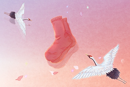 ��������ʲô������ �������������