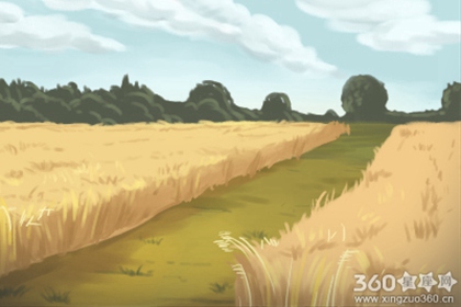 ����������˷���ʲô�ص㣿