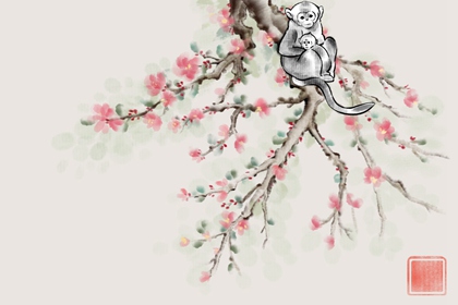 ���µĺﲻ�뻢��� �������Ĳ����