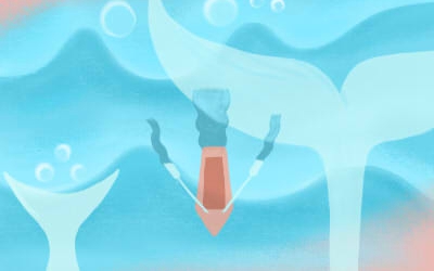 һҹ��ͷ_ʮ��������һ��Ӧ��ʲô