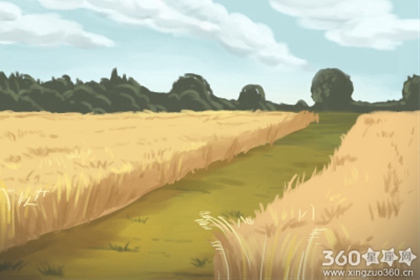 ��ü���ŵ���ʲô������Щ�ŵ㣿