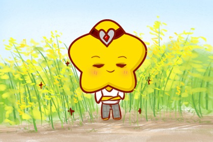 2022年脱单成功星座 遇见心动告别单身