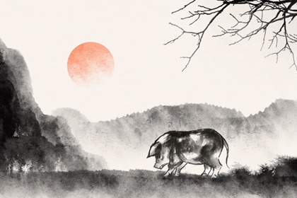 ����ĺ�����������ò��� �˴������໥����