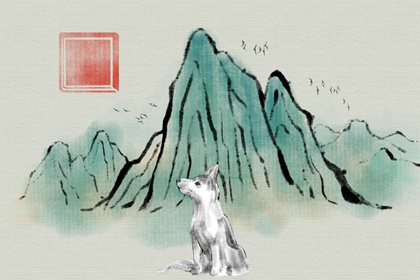 ������������ò��� �Ը񲻺ϱ˴˲�ͶԵ