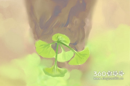 ����˫���۱���ͼƬ��ȫ