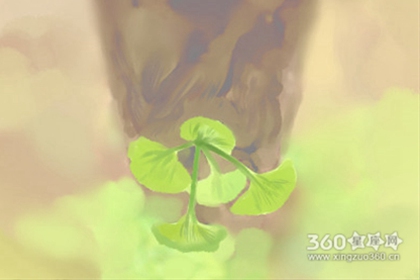 ����˫���۱���ͼƬ��ȫ