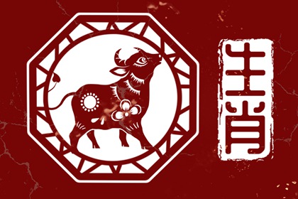 97��ţ��99�������������� ��Ժܺ���