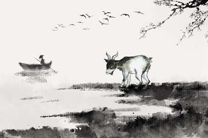 91����96Ů����仯�ⷽ�� �����������ת�˷�