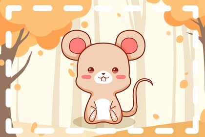 2021��������ѻ��� ��ʲô��������