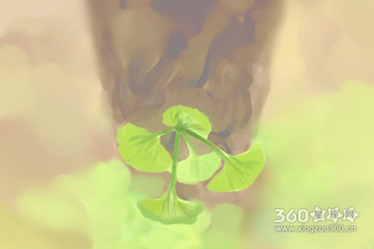 二婚线女人的手相图解 注定二婚的女人手相